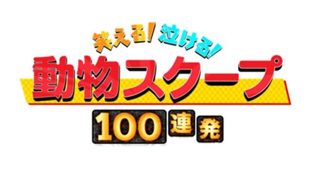 動物スクープ100連発