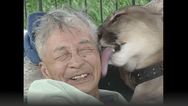 追悼特番